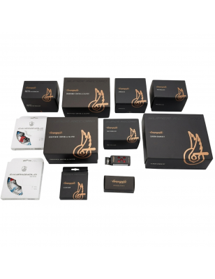 GROUPE CAMPAGNOLO SUPER RECORD WIRELESS 12V