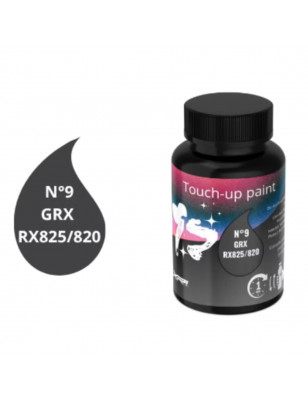 PEINTURE DE RETOUCHE GRIS COMPOSANTS SHIMANO GRX RX825/820 12V 10 ML