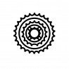 Cassette