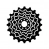 Freehub Bodies
